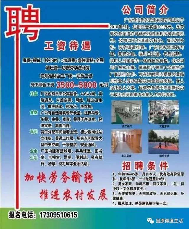铁营镇最新招聘信息汇总