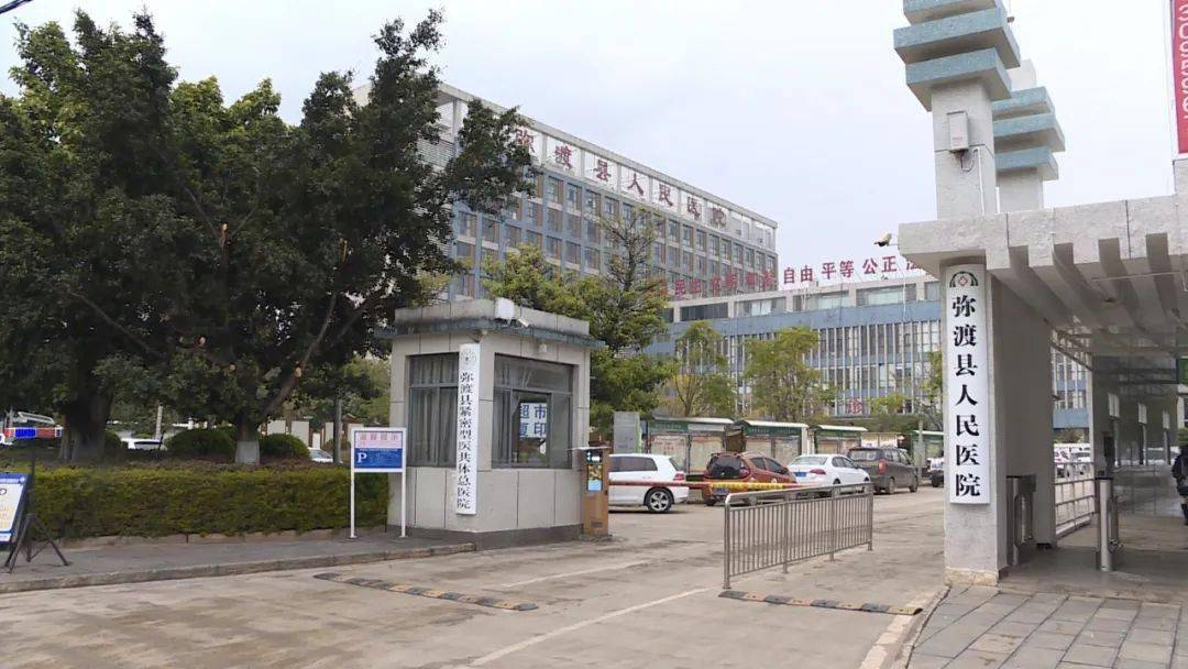 弥渡县数据和政务服务局最新项目深度探索