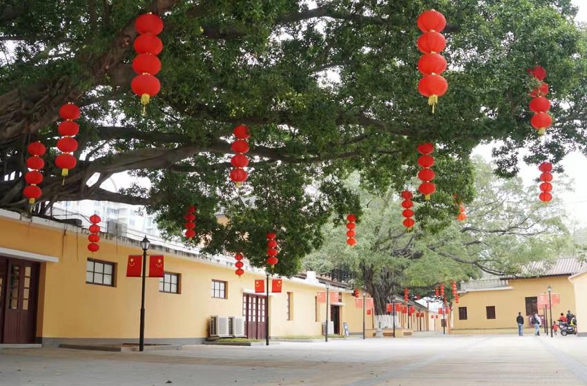 三区民政局领导团队引领担当新篇章